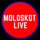 Free play online MOLOSKOT RADIO APK
