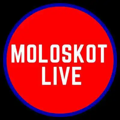 Play MOLOSKOT RADIO