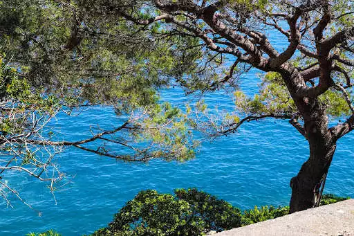 Play Monaco Wallpapers HD  and enjoy Monaco Wallpapers HD with UptoPlay