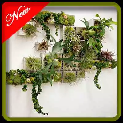 Play money plant decoration ideas
