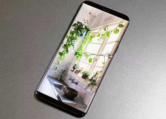 Play money plant decoration ideas