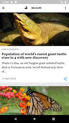 Play Mongabay Environmental News as an online game Mongabay Environmental News with UptoPlay