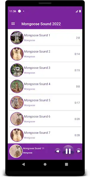 Play Mongoose Sounds 2022 and enjoy Mongoose Sounds 2022 with UptoPlay Play Mongoose Sounds 2022 and enjoy Mongoose Sounds 2022 with UptoPlay