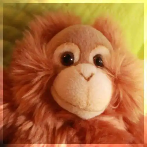 Free play online Monkey Forecaster APK