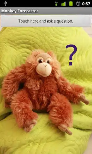 Play Monkey Forecaster