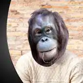 Free play online Monkey Photo Montage APK Free play online Monkey Photo Montage APK
