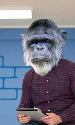 Play Monkey Photo Montage