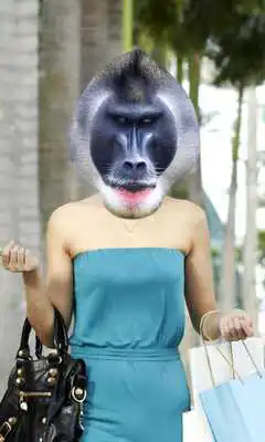 Play Monkey Photo Montage