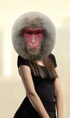 Play Monkey Photo Montage