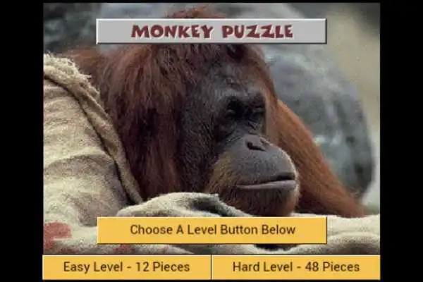 Play Monkey Puzzle