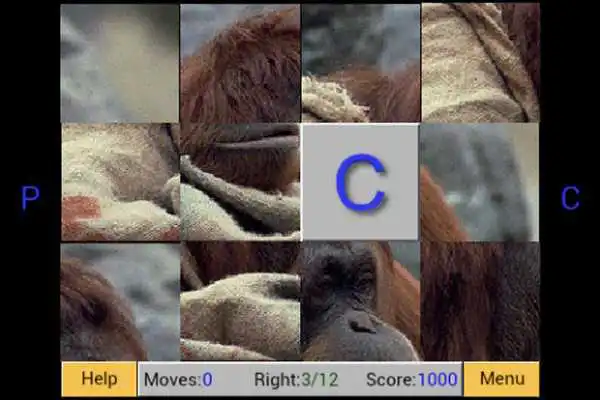 Play Monkey Puzzle