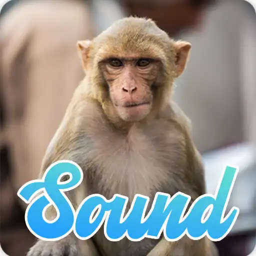 Play Monkey Sounds Effect APK