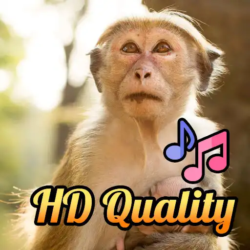 Play Monkey Sounds Offline APK Play Monkey Sounds Offline APK
