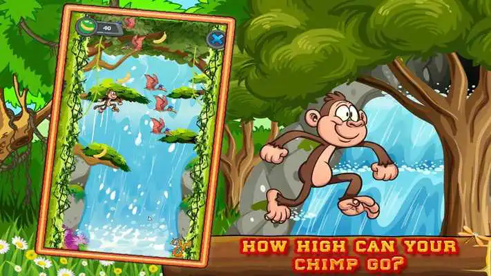 Play Monkey Splash