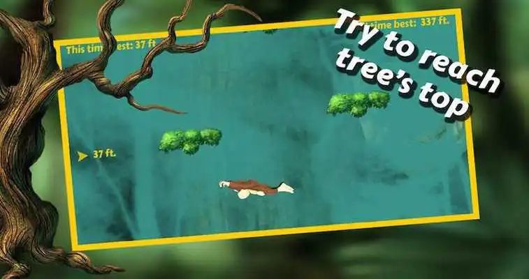 Play Monkey Swing Play Monkey Swing