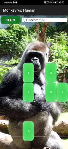 Play Monkey vs. Human