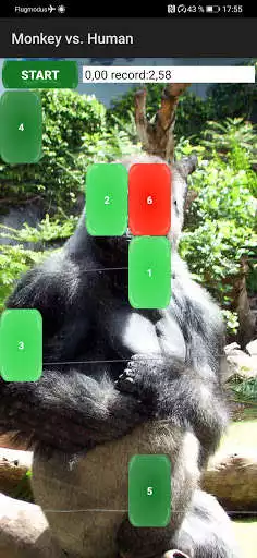 Play Monkey vs. Human