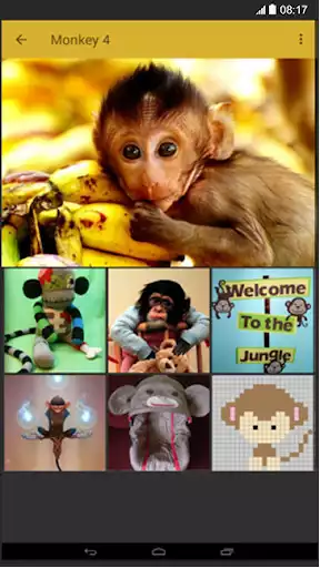 Play Monkey Wallpaper as an online game Monkey Wallpaper with UptoPlay