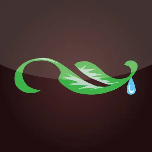 Play Monsoon Indian APK