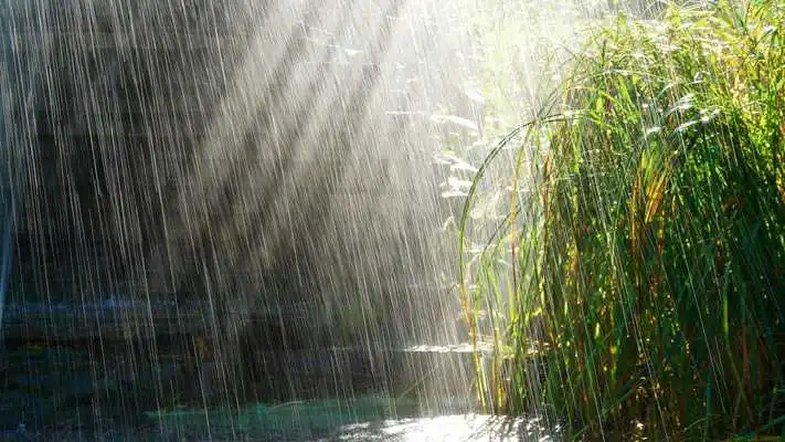 Play Monsoon Wallpapers