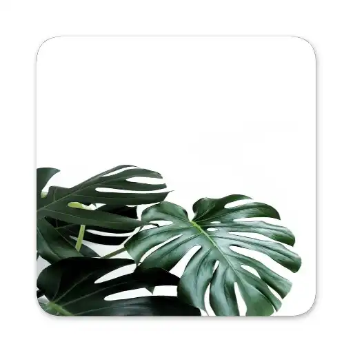 Play Monstera Live Wallpapers HD APK
