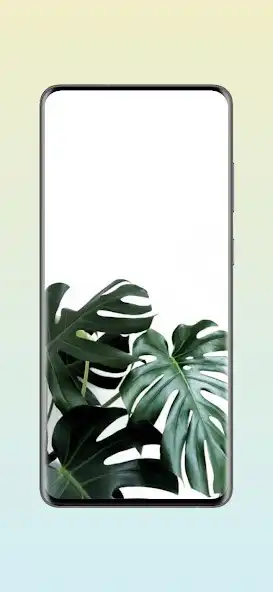 Play Monstera Live Wallpapers HD  and enjoy Monstera Live Wallpapers HD with UptoPlay