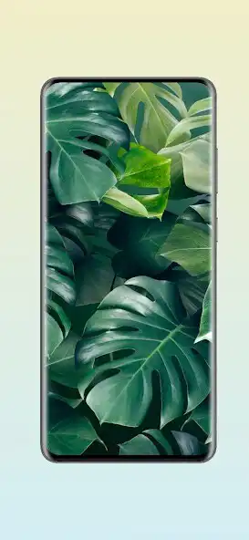 Play Monstera Live Wallpapers HD as an online game Monstera Live Wallpapers HD with UptoPlay