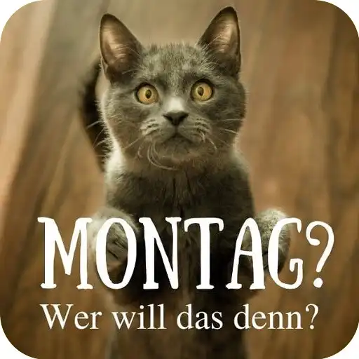 Play Montag Bilder Lustig APK