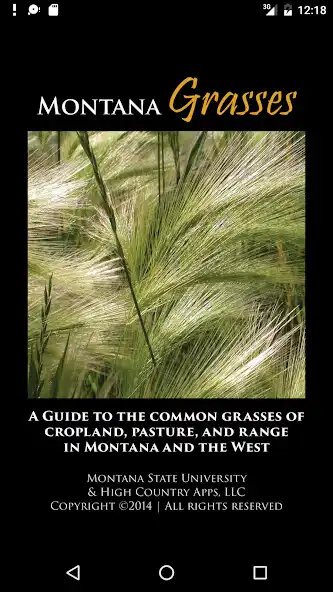 Play Montana Grasses  and enjoy Montana Grasses with UptoPlay
