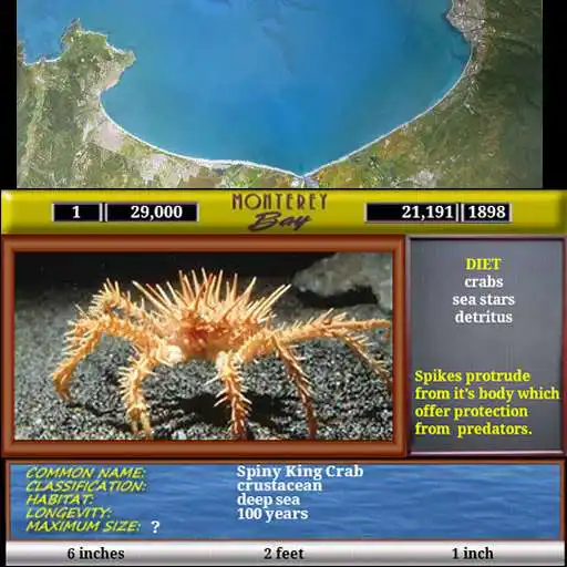 Free play online Monterey Bay Sea Life APK