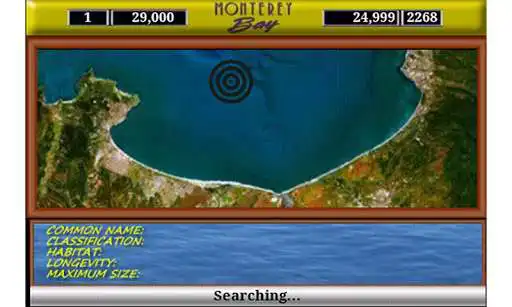 Play Monterey Bay Sea Life