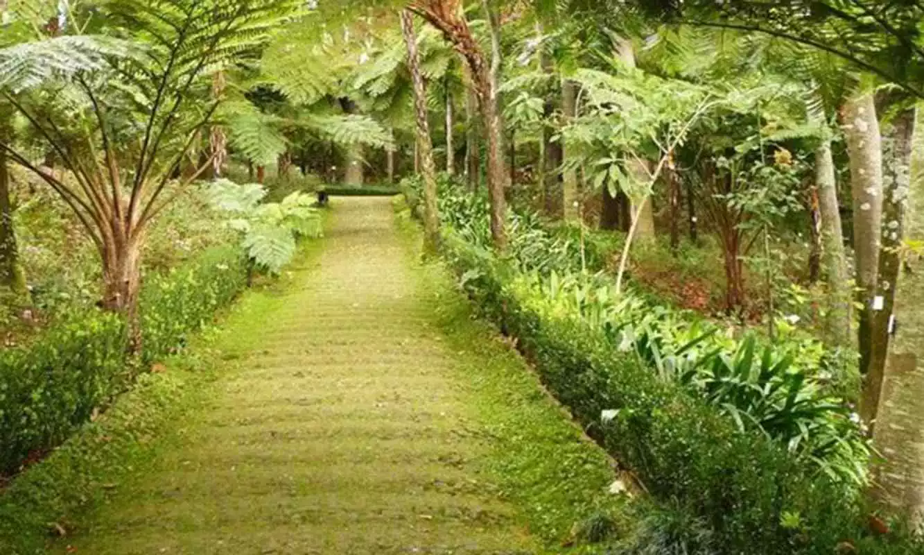 Play Monte Tropical Garden Escape
