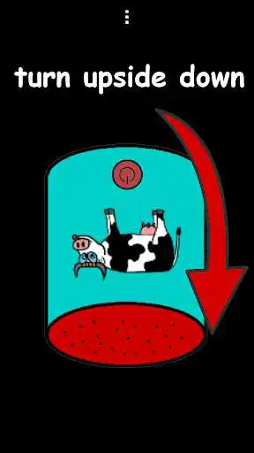 Play Moo Box