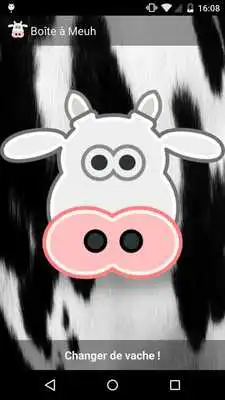 Play Moo Box