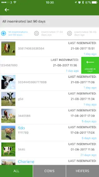 Play Moocall Breed Manager as an online game Moocall Breed Manager with UptoPlay