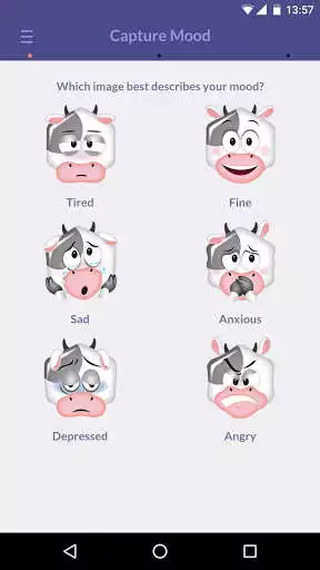 Play Mood Cow Dashboard
