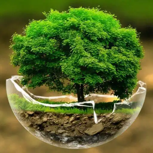 Play Mood : Nature Sleep Sounds APK Play Mood : Nature Sleep Sounds APK