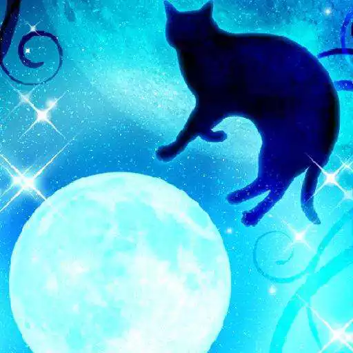 Run free android online Moon&Blackcat Kirakira(FREE) APK
