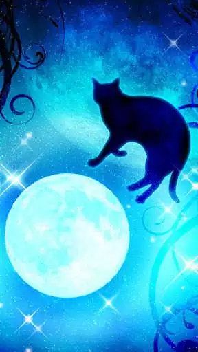 Play Moon&Blackcat Kirakira(FREE)  and enjoy Moon&Blackcat Kirakira(FREE) with UptoPlay