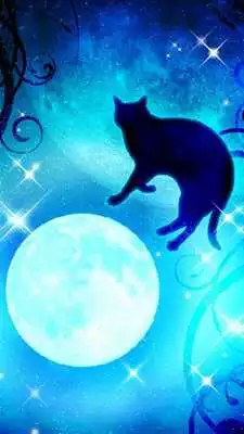 Play Moon&Blackcat Kirakira(FREE)  and enjoy Moon&Blackcat Kirakira(FREE) with UptoPlay