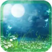 Free play online Moon firefly wallpaper APK Free play online Moon firefly wallpaper APK