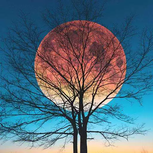 Free play online Moon HD Wallpapers  APK