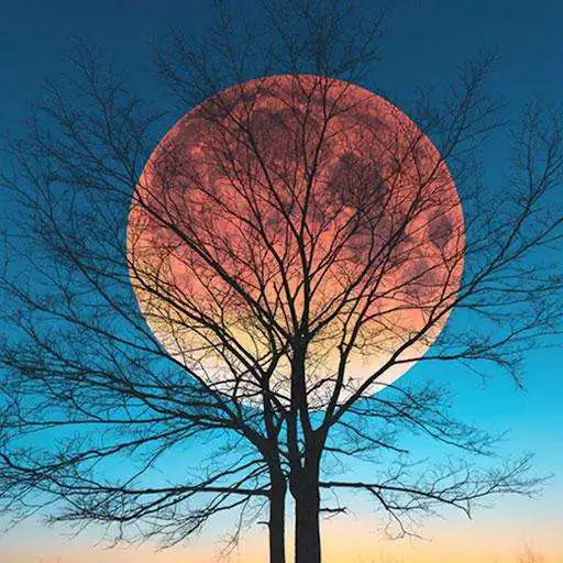 Play Moon HD Wallpapers APK Play Moon HD Wallpapers APK