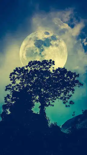 Play Moon HD Wallpapers  and enjoy Moon HD Wallpapers with UptoPlay