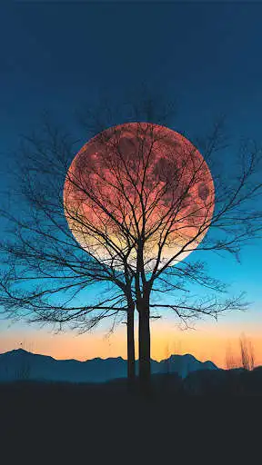 Play Moon HD Wallpapers as an online game Moon HD Wallpapers with UptoPlay