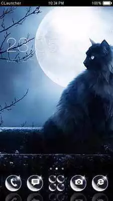 Play Moonlight Cat Theme HD