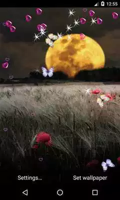 Play Moonlight Live Wallpaper