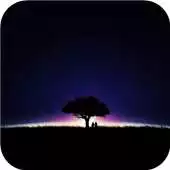 Free play online Moonlight night secrets APK