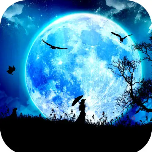Play Moonlight Wallpaper 4K APK