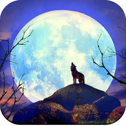 Play Moon Wallpaper HD APK Play Moon Wallpaper HD APK